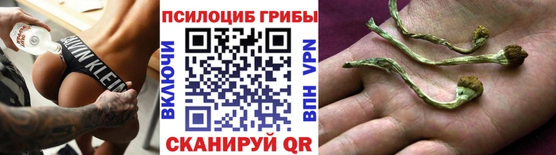 Галлюциногенные грибы ЛСД  Хасавюрт 